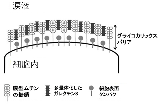 図5