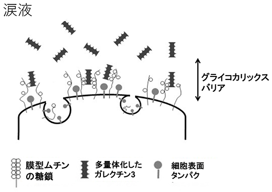 図10