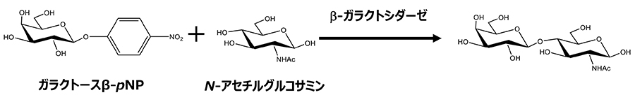 図3