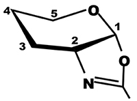 図2