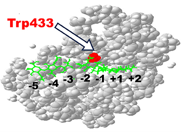 図12