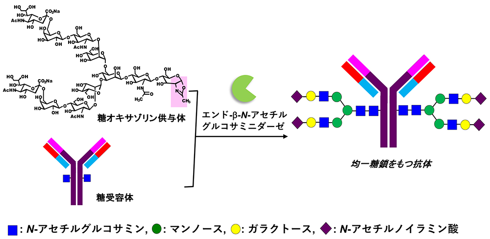 図15