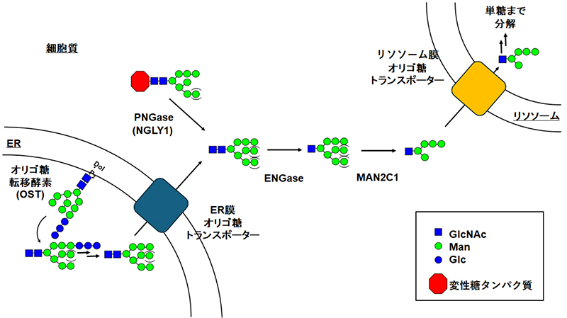 図1