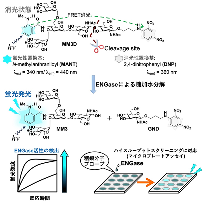 図1