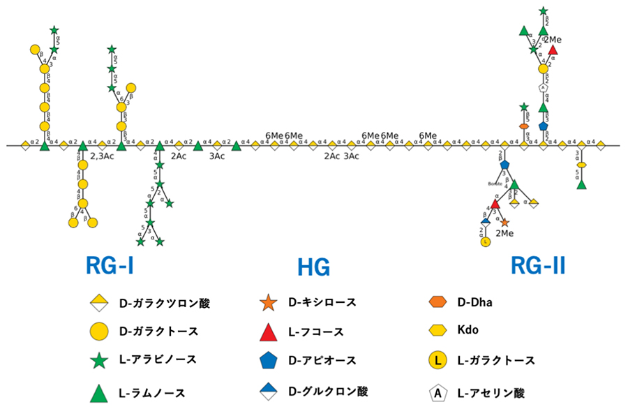 図1