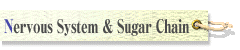 Nervous System & Sugar Chain